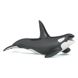 ORCA - PAPO