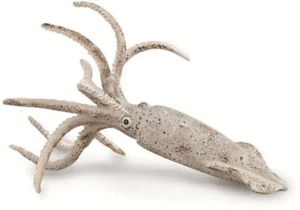 MODELO PREHISTÓRICO DE CALAMAR BELEMNITA - COLLECTA