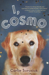 I, COSMO