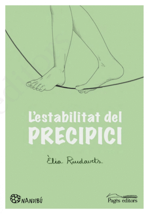 L'ESTABILITAT DEL PRECIPICI