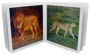 LOS ANIMALES SALVAJES