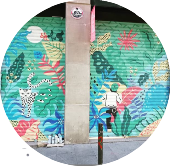 Nueva persiana con el Arte de Ana de Lima